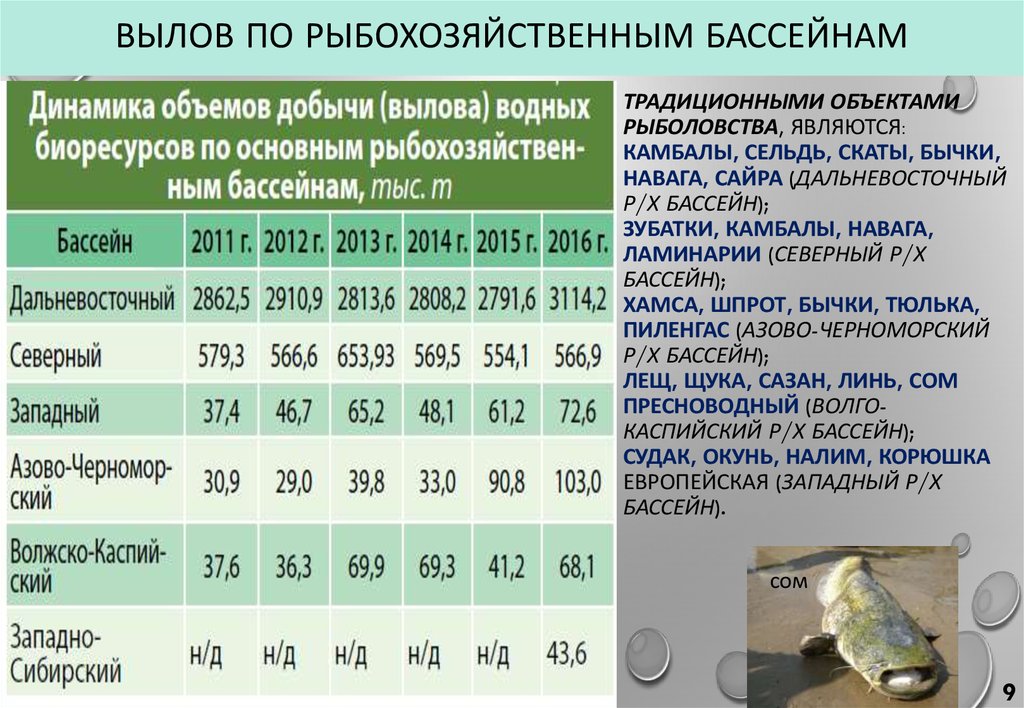 Байкальский рыбохозяйственный бассейн карта