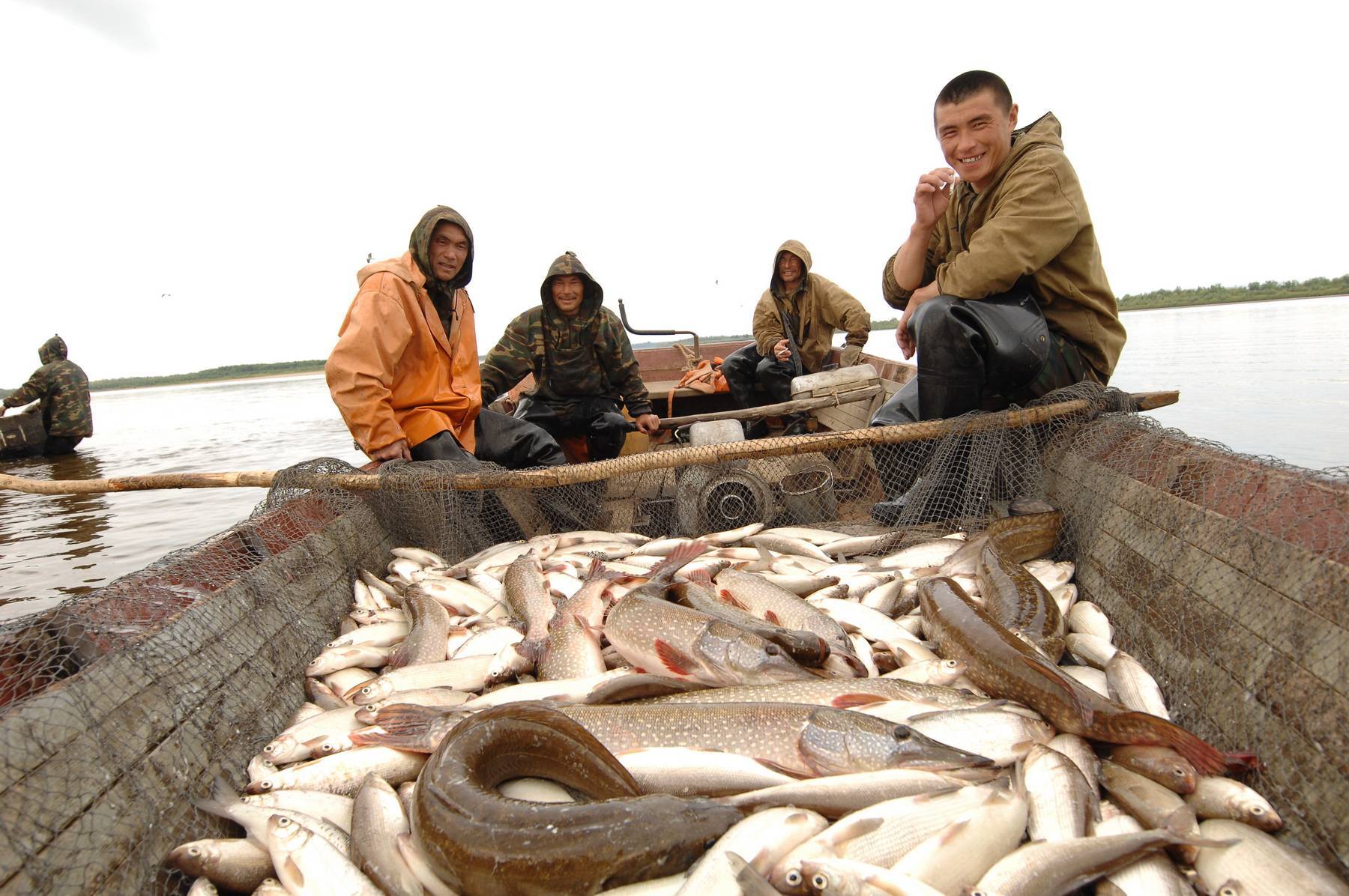 Места для рыбалки в камчатском крае – платная и бесплатная рыбалка!