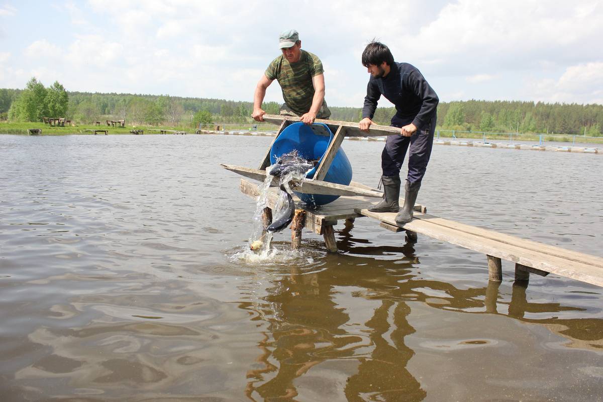 Озеро лубенское: описание, все о рыбалке на водоеме, фото и отзывы