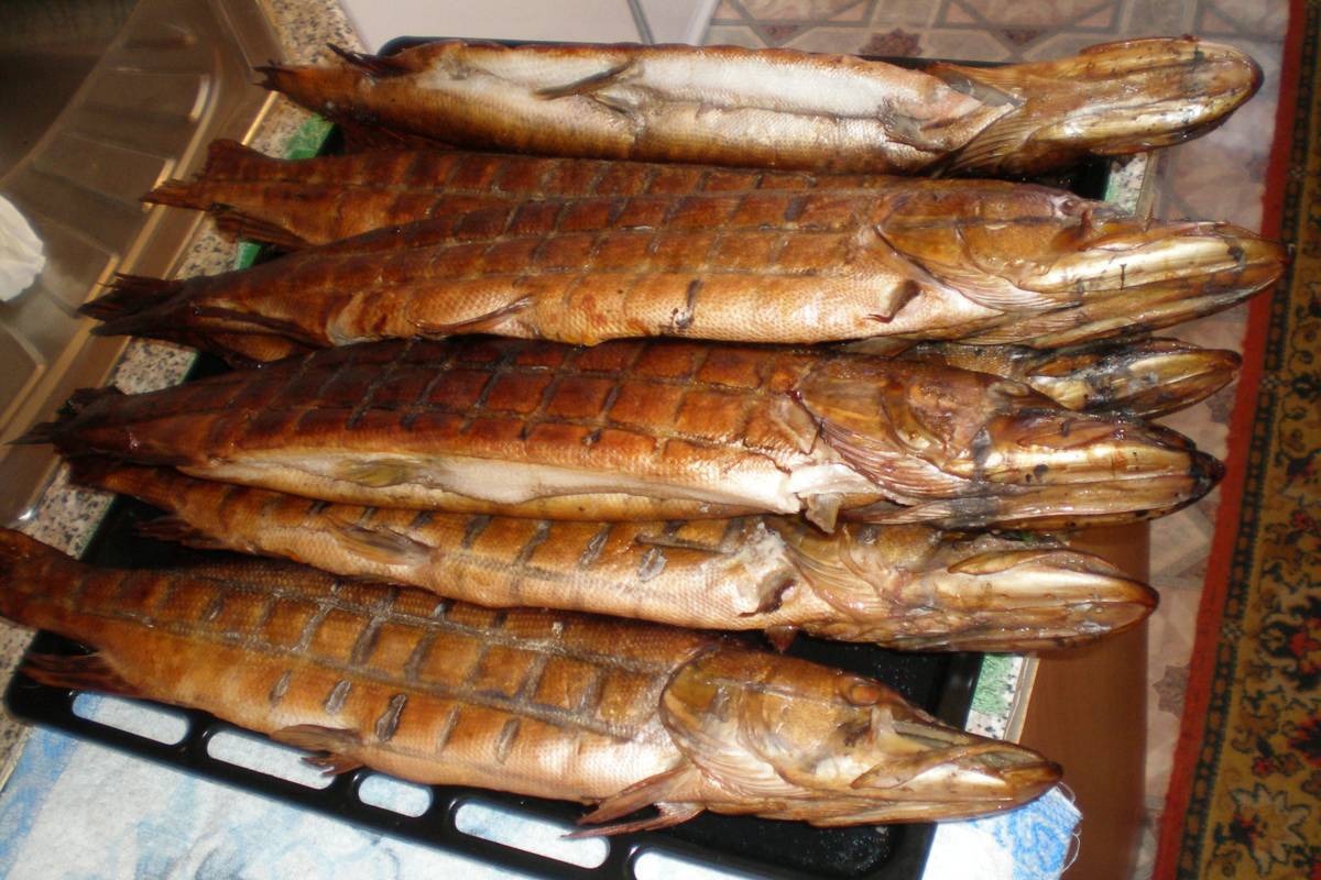 Рыба горячего копчения в домашних условиях в коптильне рецепты с фото пошагово