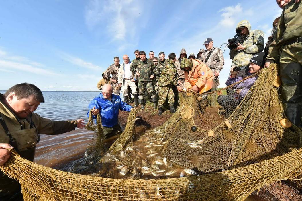 Что ловить на ямале? - рыбалка в россии и по всему миру - fishers-spb.ru