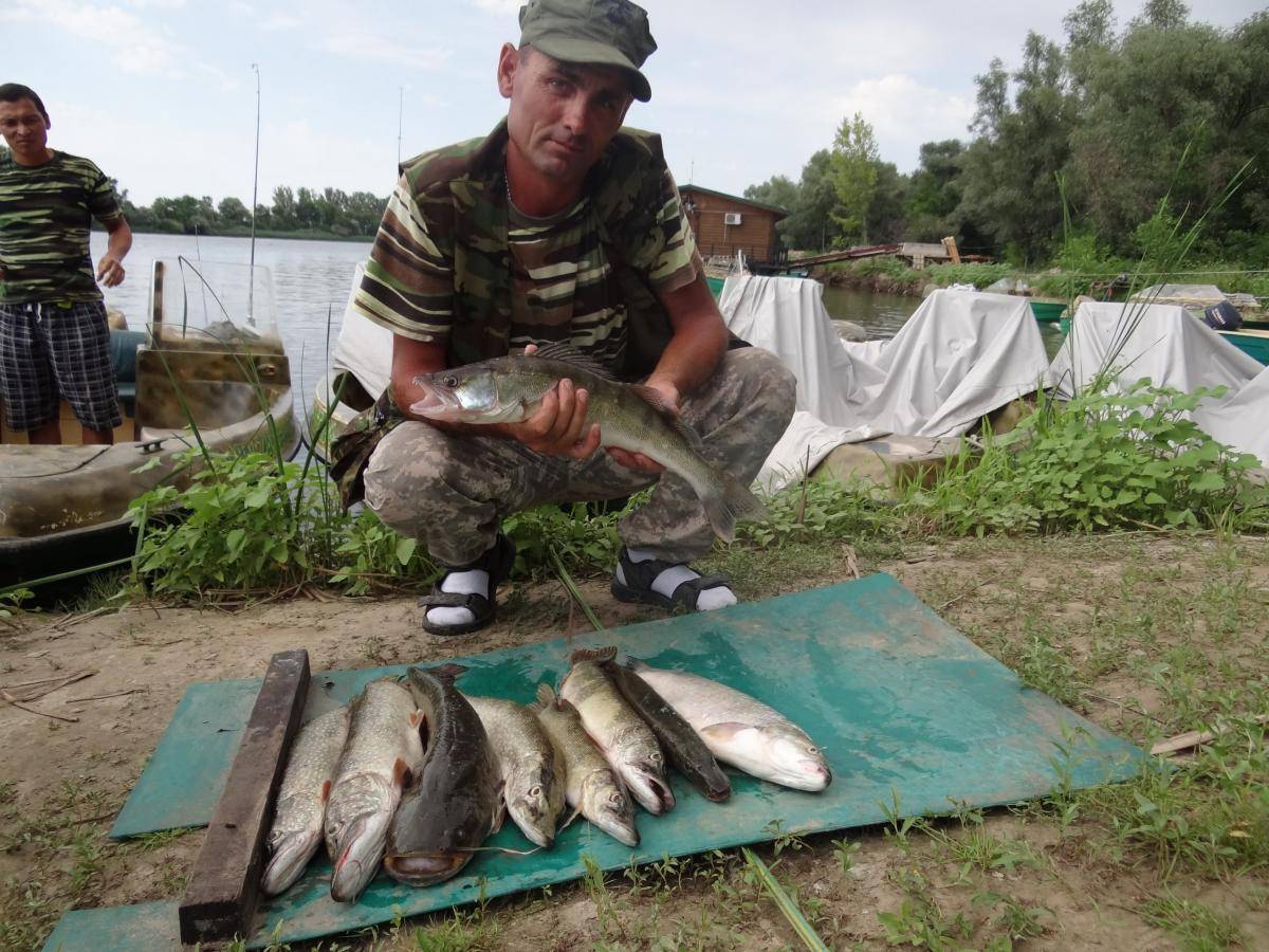 Подольское районное общество охотников и рыболовов: платная рыбалка и отдых