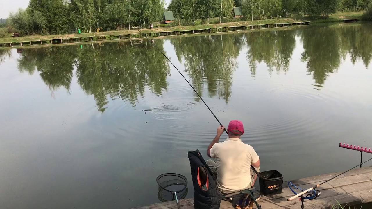 Рыбалка на озернинском водохранилище в рузском районе подмосковья
