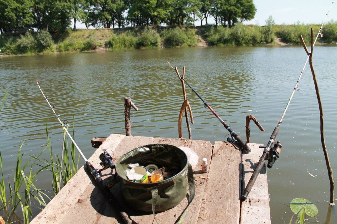 Рыбалка в московской области: топ платных и бесплатных водоемов подмосковья