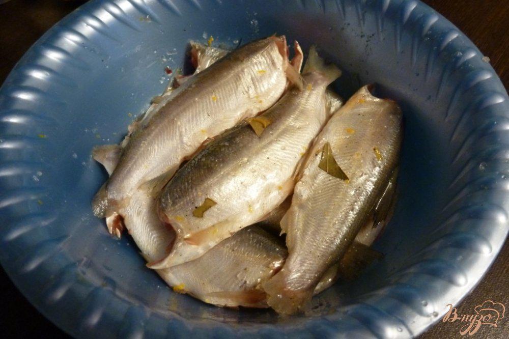 ✅ сырок рыба рецепты приготовления - fish-hunt.net.ru
