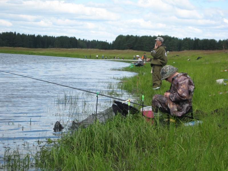 15 лучших рыболовных мест в ульяновской области. бесплатные и платные | животный мир