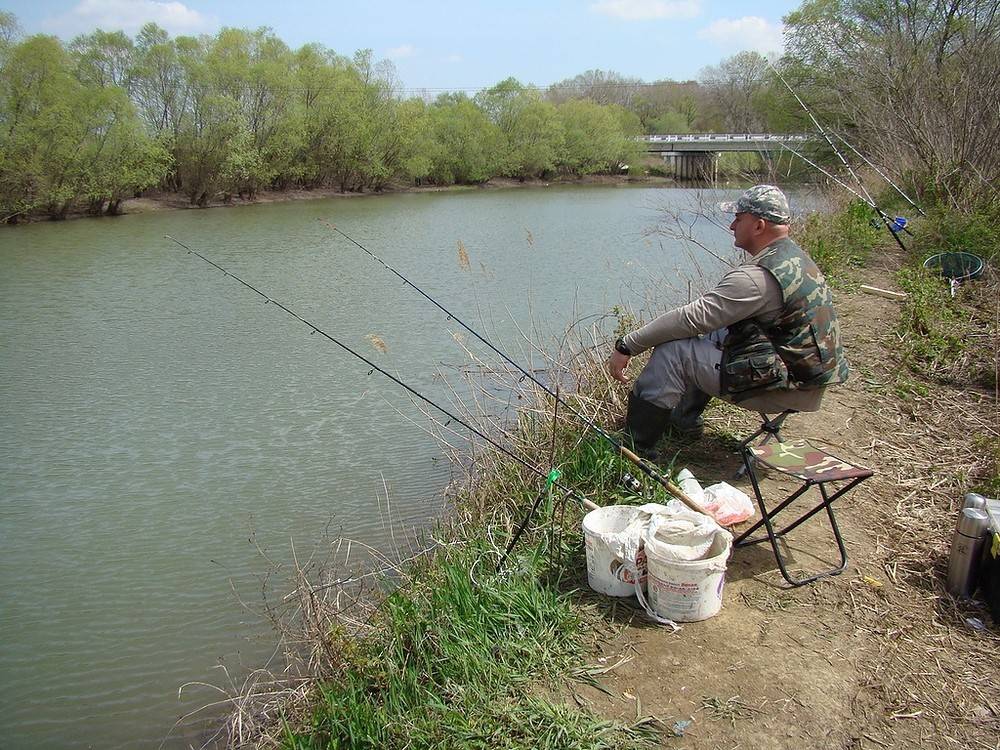 Места для рыбалки в алтайском крае – платная и бесплатная рыбалка!