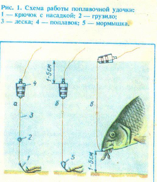 Ловля подлещика зимой