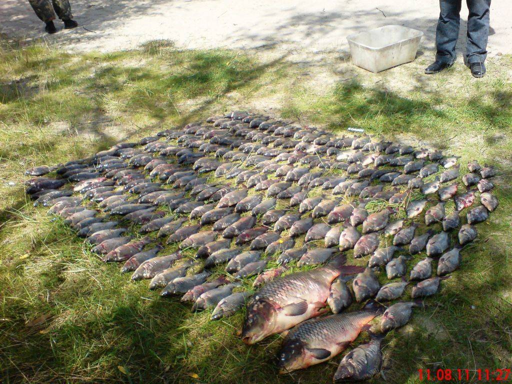 Рыбалка в брестской области: : платные и бесплатные водоемы, базы отдыха, карта