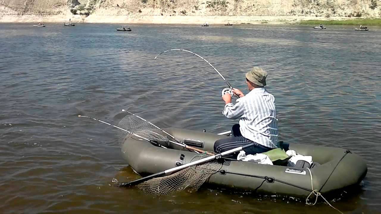 Могучая ахтуба. рыбалка на большой реке – рыбалке.нет
