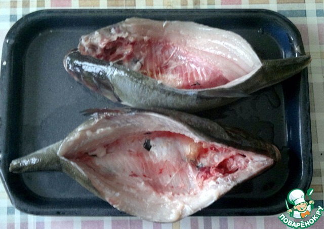 Рыба толстолобик: как выглядит, костлявый или нет