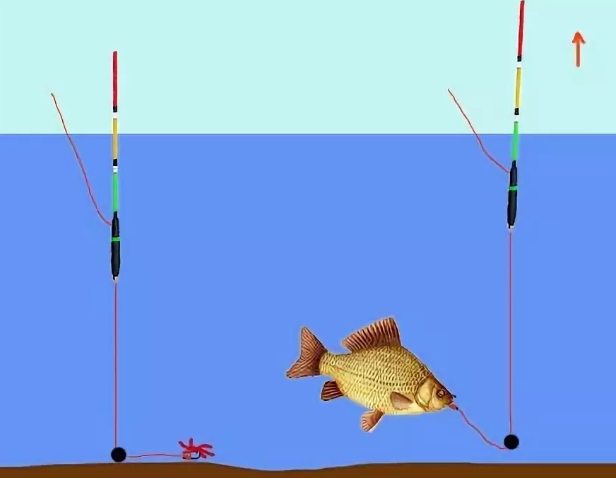 Как поймать рыбу без удочки: видео и 11 лучших способов
