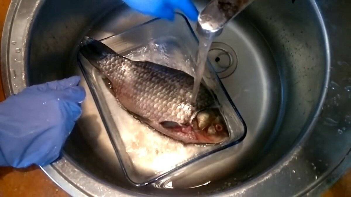Чистка и разделка замороженной рыбы