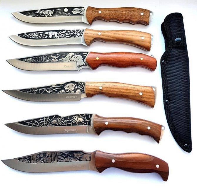 Охотничьи ножи: основные и лучшие виды, размеры, как выбрать для охоты и рыбалки, туристический, сколько стоит