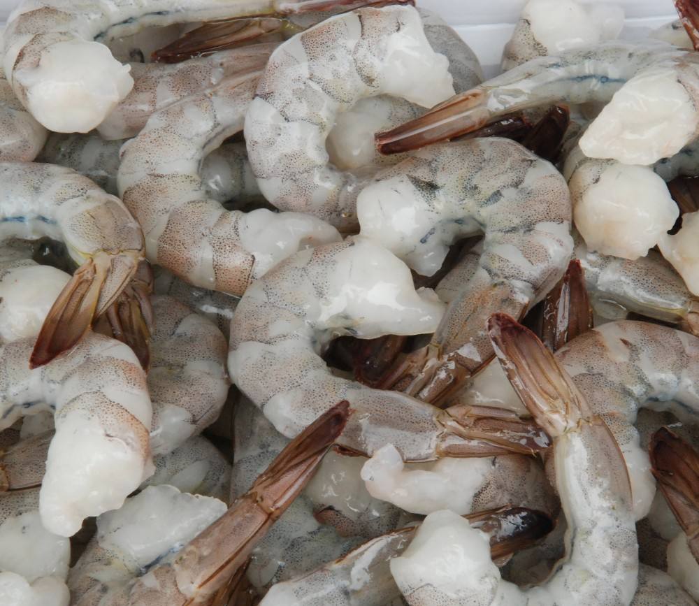 К вопросу скорости роста морской креветки l. vannamei при промышленном выращивании