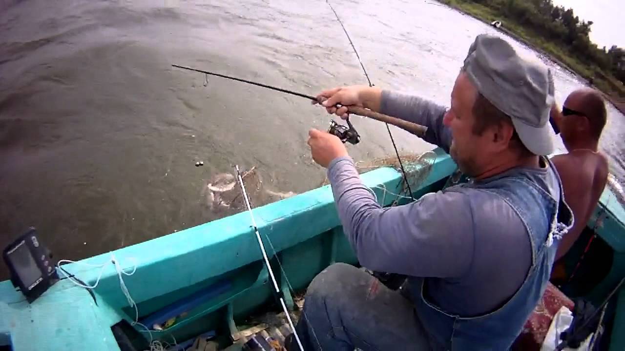 Ловля рыбы на резинку - читайте на сatcher.fish