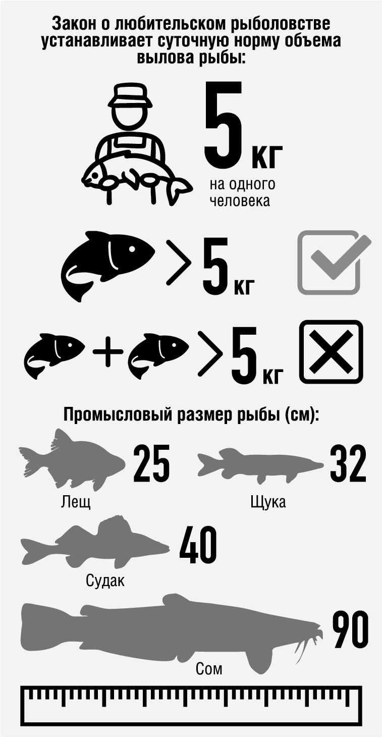 Таблица нормы вылова рыбы. Размер вылавливаемой рыбы. Размер рыбы разрешенной к вылову. Сравнение размеров рыб