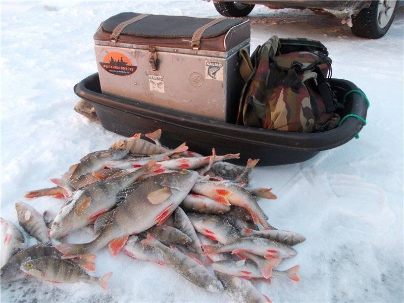 Отчеты о рыбалке - рыбхоз-про рыбалку