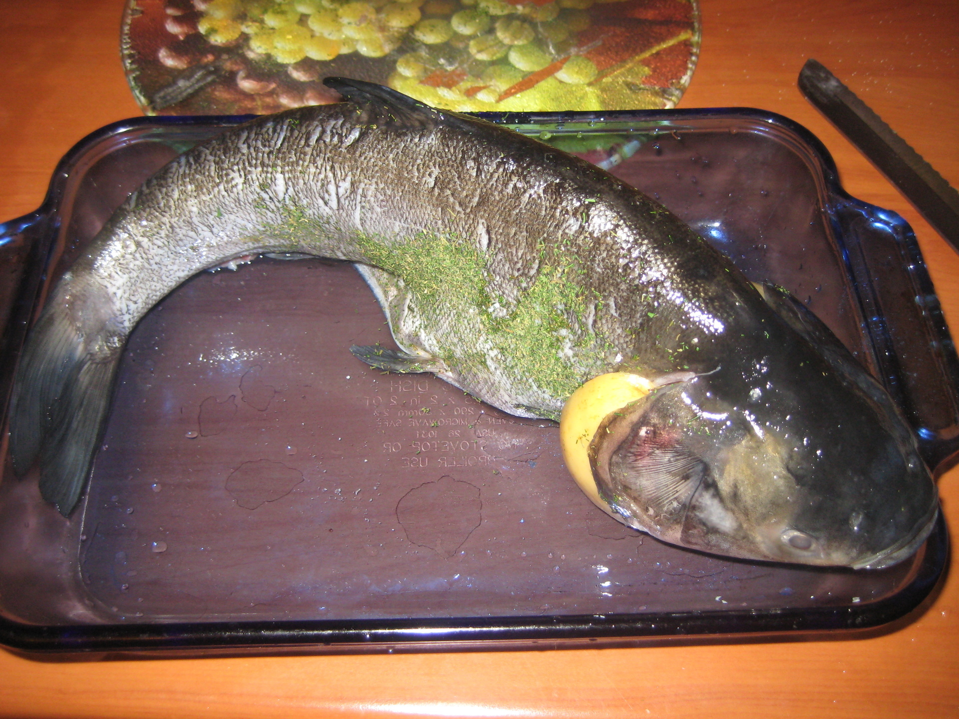 Толстолобик: что за рыба и как его готовить