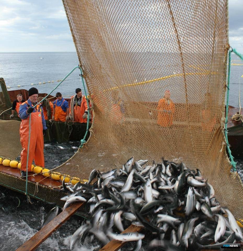 Штрафы и наказания за незаконную рыбалку в 2021 году