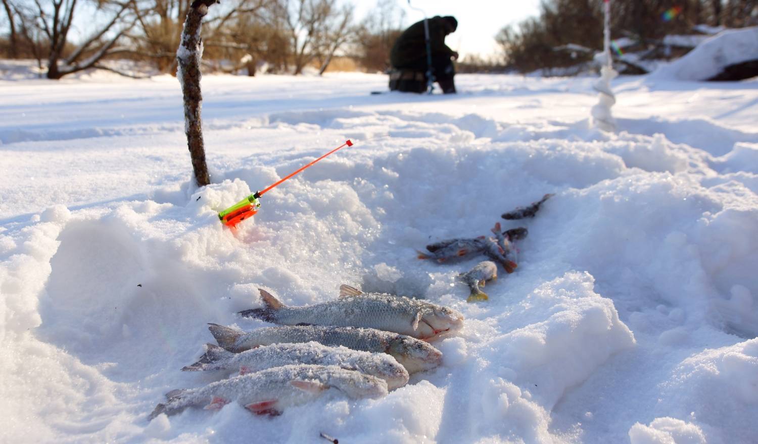 Зимняя рыбалка — все о ловле рыбы зимой