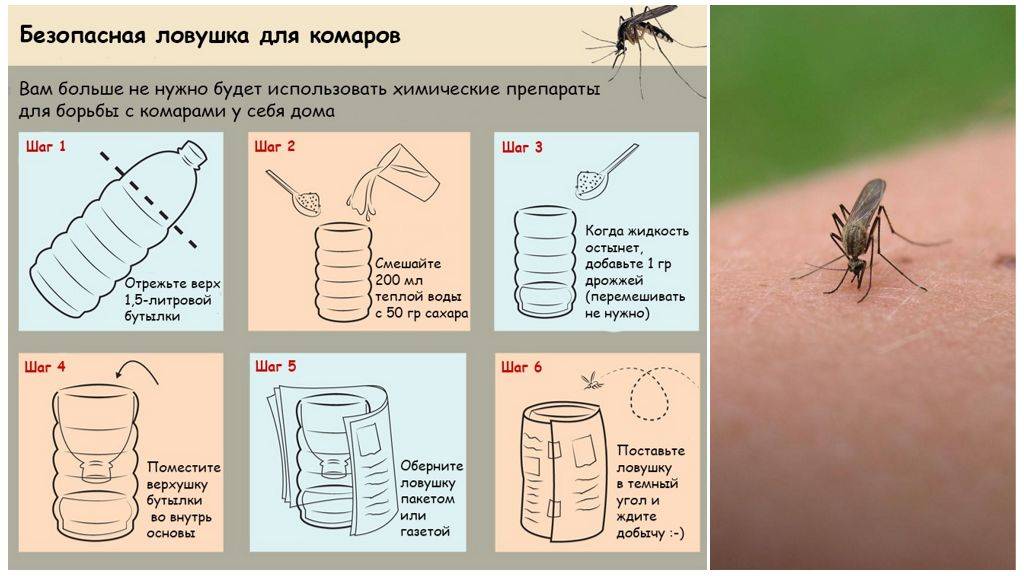 ᐉ народные средства от комаров: рецепты для приготовления в домашних условиях своими руками из подручных средств - zoovet24.ru