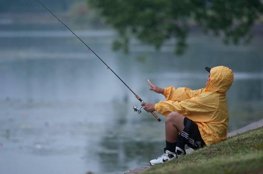Клюет ли форель в дождь. в какую погоду отправляться на рыбалку