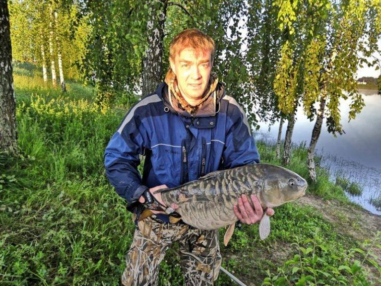 Рыбалка в капустино чеховский район 2021