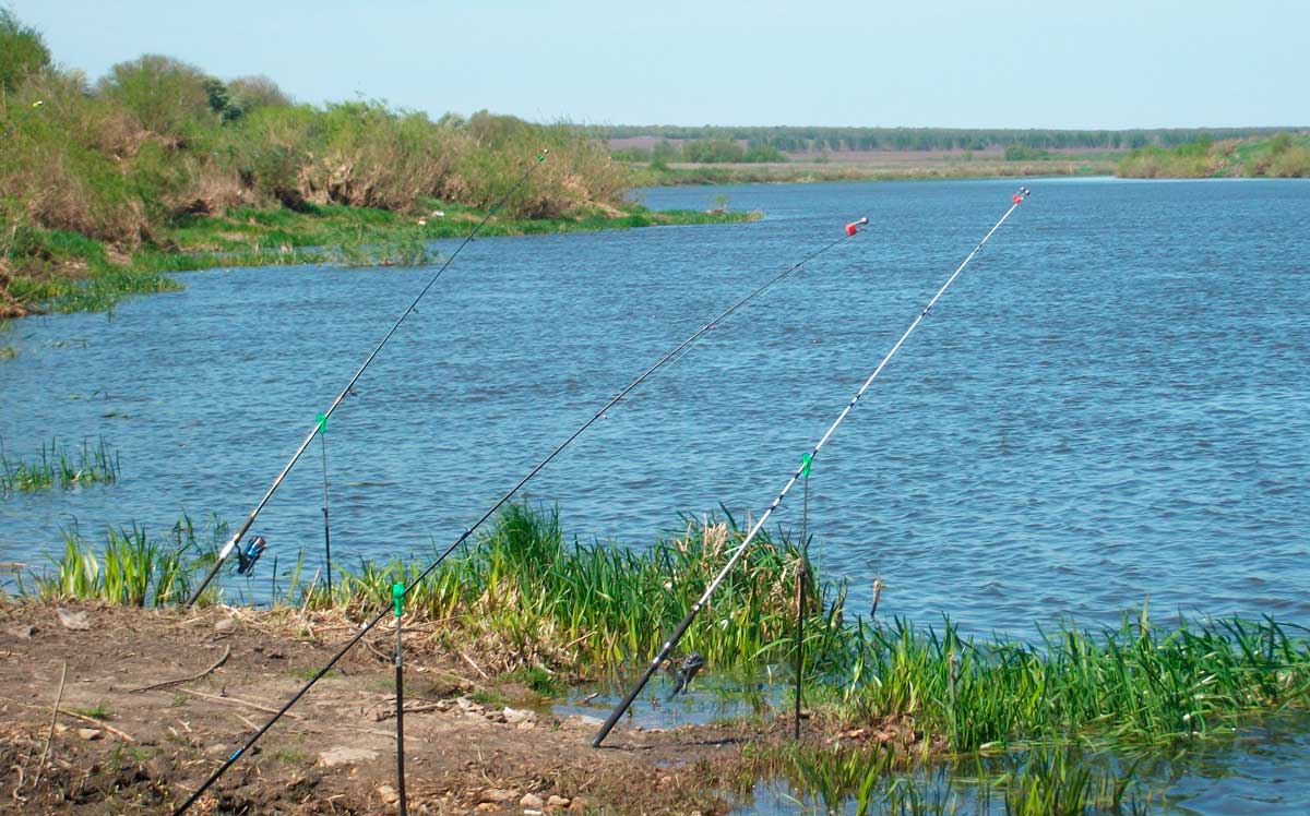 Правила рыбалки в саратовской области в 2021 г.