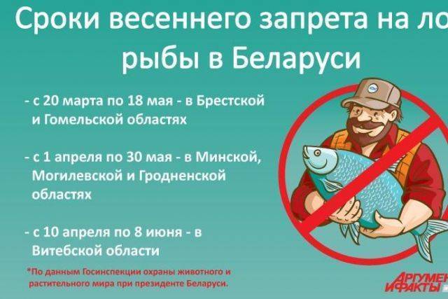 Нерестовый запрет 2021 ярославская область