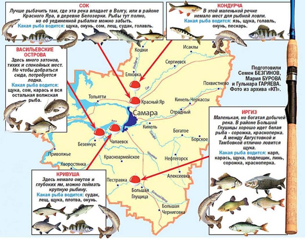 Рыбалка в северной осетии и во владикавказе - fishingwiki