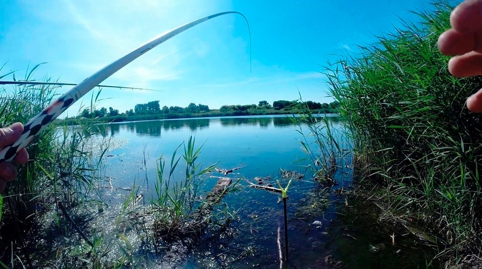Ловля щуки в сентябре на спиннинг на озере и реке, на какие приманки, джиговая ловля, видео 2021, какой цвет любит сентябрьская щука