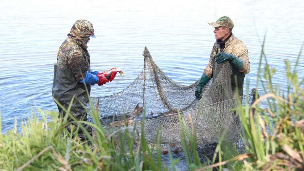 Расчет оснастки для ставных рыболовных сетей