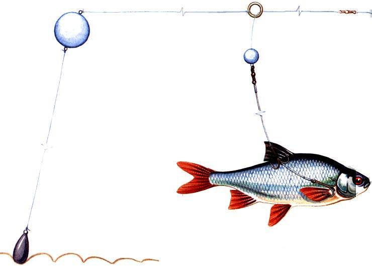 Запрещенные снасти и виды ловли - правила рыболовства
