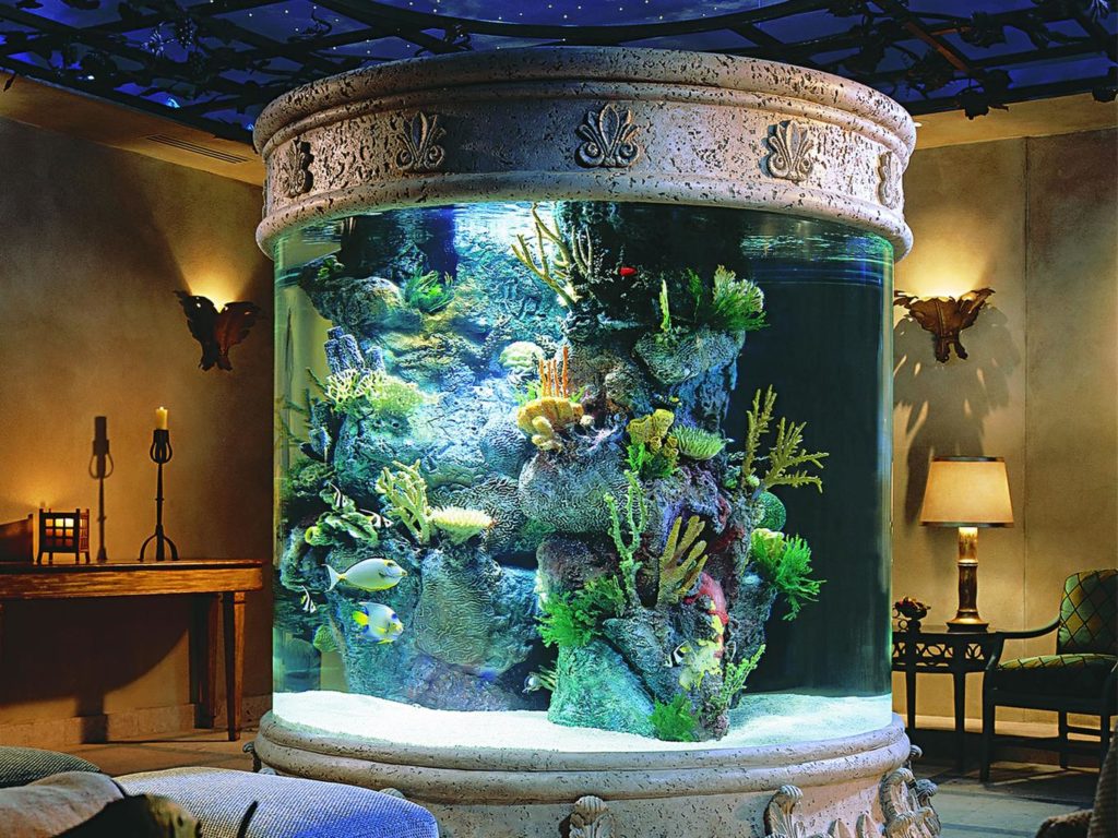 Как выбрать аквариум для дома: описание,фото