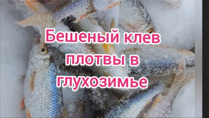 Ловля окуня в глухозимье на мормышку - поиск рыбы, уловистые приманки
