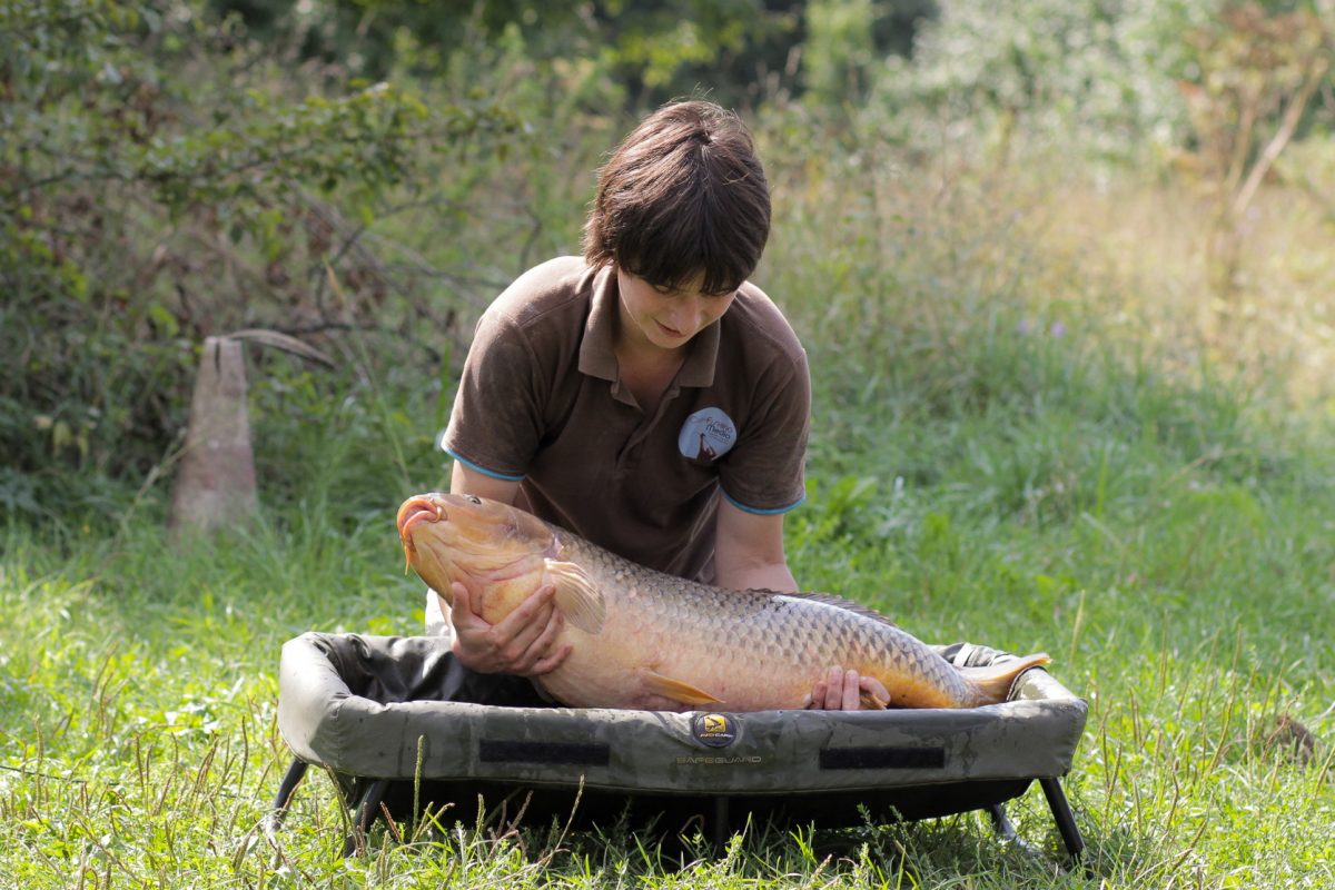 Петля для поп-ап-насадки: особенности, монтаж, альтернативные варианты