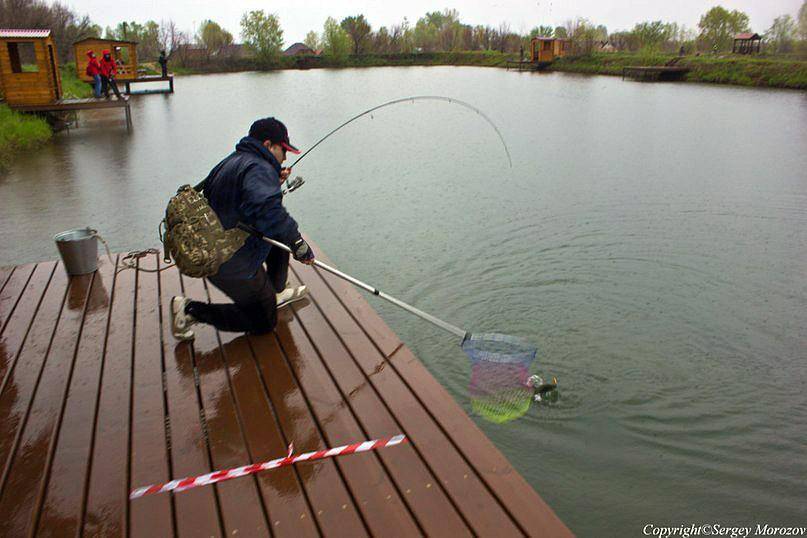 Рыболовные базы краснодарского края - отзывы и цены, видео и фото