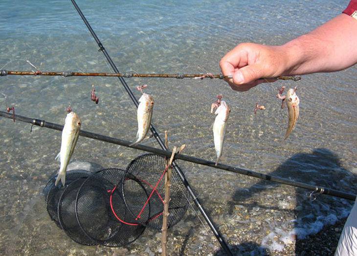 Снасть на камбалу: как и на что ловить рыбу, как сделать оснастку своими руками, снасть для ловли камбалы с берега
