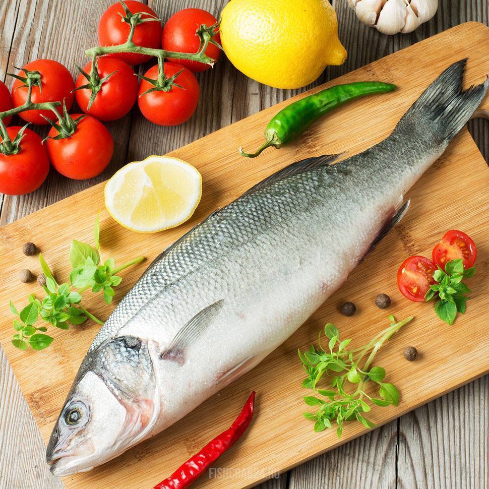 Сибас: калорийность, содержание бжу, польза и вред рыбы для организма человека