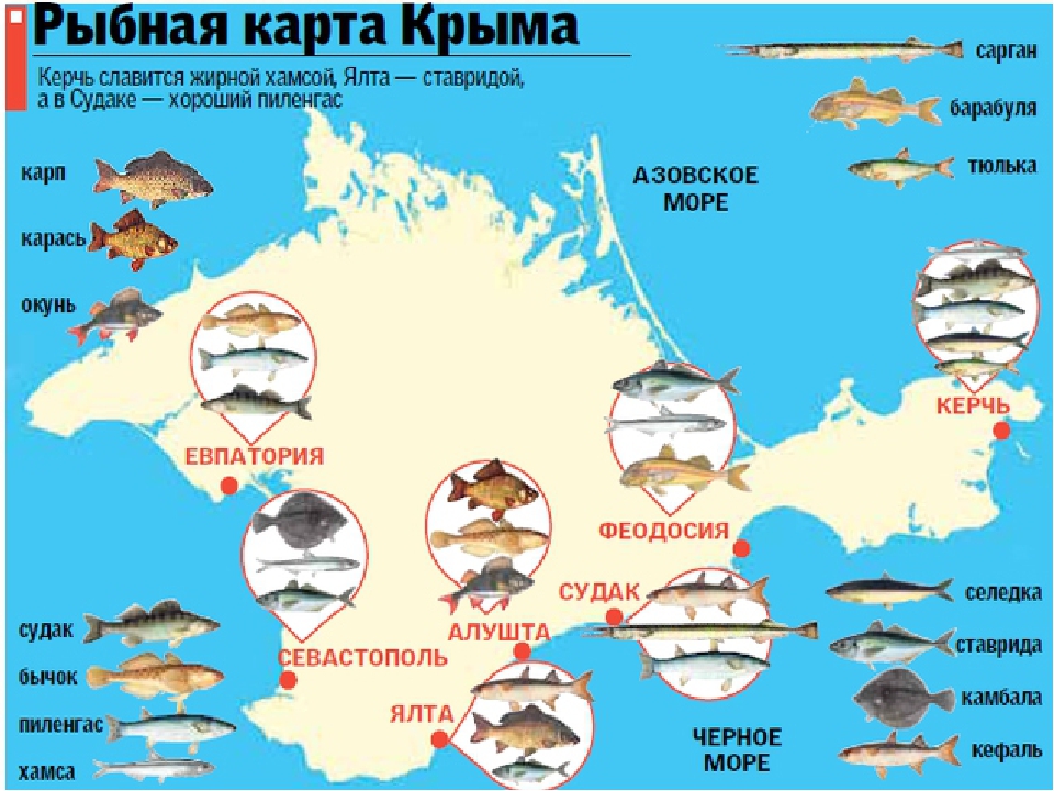 Правила рыбалки в крыму в 2021 г.