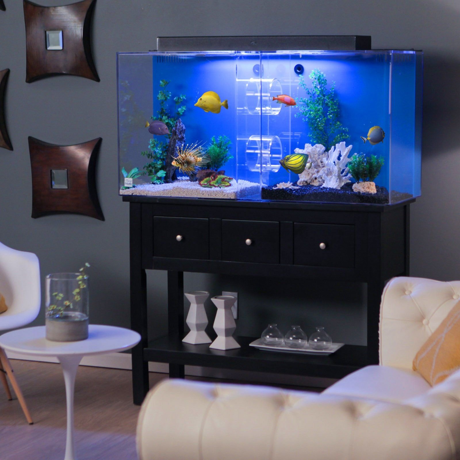 Круглый аквариум: каких рыбок можно держать, как оформить, фото и видео