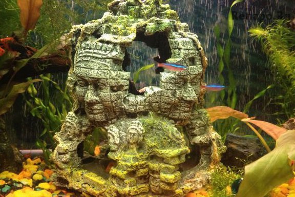 Грот из камней для аквариума своими руками. пошаговая инструкция изготовления искусственного декоративного укрытия для рыбок в домашних условиях