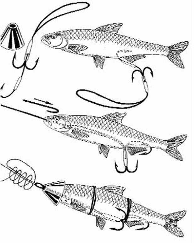 Ловля щуки на мертвую рыбку: правила оснастки