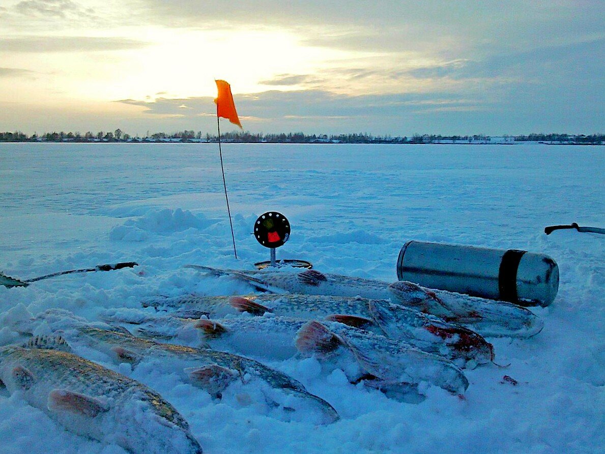 Лучшие жерлицы для зимней рыбалки на 2021 год с достоинствами и недостатками.