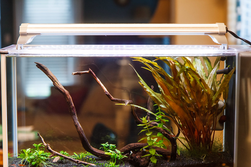 Выбор лампы для аквариума: что нужно знать, какие подходят?