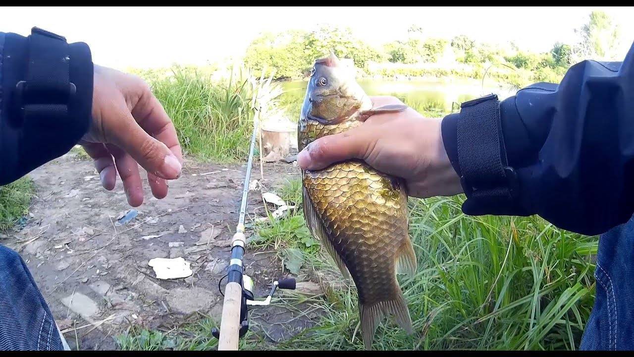 Как ловить рыбу на пикер