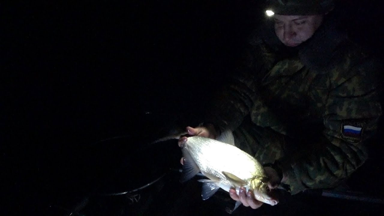 Ночная ловля леща на фидер на выбранном месте для рыбалки
