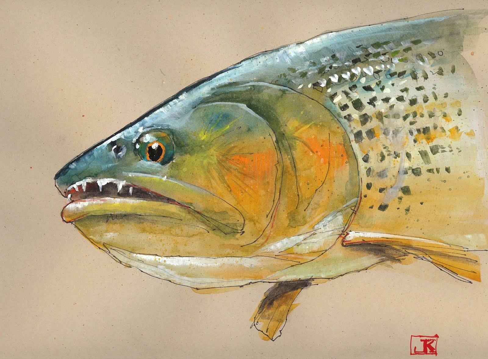 Дорадо золотой – каталог рыб, смотреть онлайн