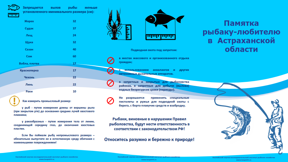 Изменения в правилах любительского рыболовства 2021